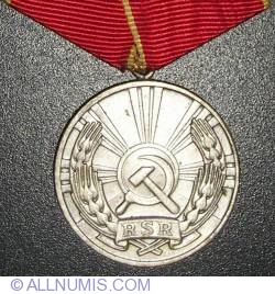 Outstanding work - merit in work medal