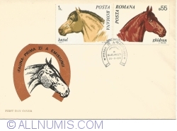 Image #2 of Fauna - Horses