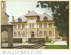 Image #1 of Piatra Neamț - Art Museum