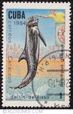 1¢ Risso's dolphin  1984