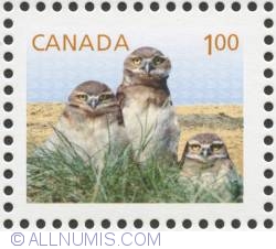 Image #1 of $1.00 2014 - Burrowing owl