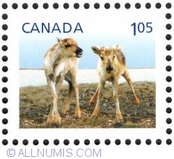 Image #1 of $1.05 Caribou 2012