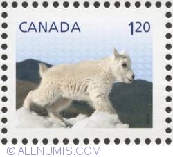 Image #1 of $1.20 2014 - Mountain goat