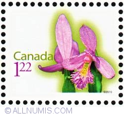 $1,22 2010 - Rose Pogonia (Pogonia ophioglossoides)