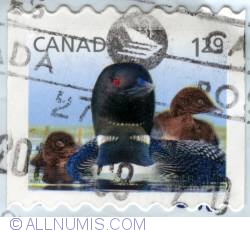 Image #1 of $1.29 Great Northern Loon 2012 (obliterated)