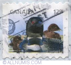 $1.29 Loons 2012 (used)