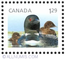 Image #1 of $1.29 Loons 2012 (new)
