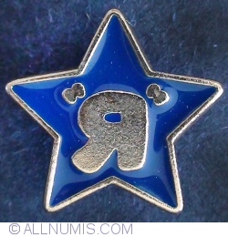 Toy R Us employee service pin