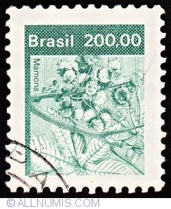 200.00  R$ Castor oil plant 1982