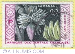 20 Francs The Banana 1958
