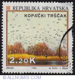 Image #1 of 2,2 Kuna Kopacki trscak 1994