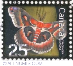 25 cents 2007 - cecropia moth (Hyalophora cecropia) (used)