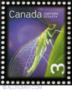 Image #1 of 3¢ 2012 - Chrysopa oculata (golden-eyed lacewing)