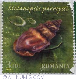 Image #1 of 3.10 Lei - Melanopsis parreyssi