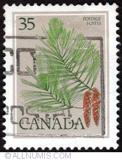 Image #1 of 35¢ Eastern White Pine, Pinus strobus 1979