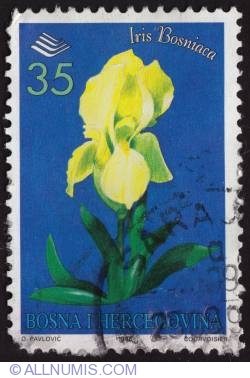35 dinar - Iris Bosniaca 1996