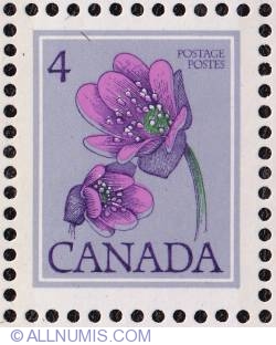 Image #1 of 4¢ Hepatica acutiloba 1977