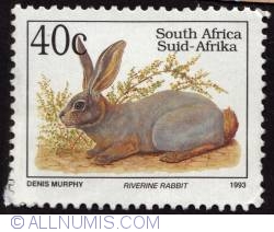 40 Cents South Africa - Riverine rabbit 1993