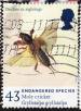 1 : 43 Pence - Mole cricket