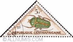 Image #1 of 5 F Cetoine Scaraboidae 1962