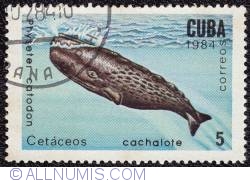 5¢ Sperm whale 1984