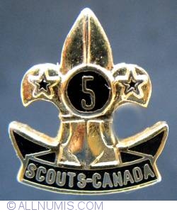Image #1 of 5 years service pin