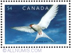 54¢ 2009 Artic Tern - Sterna paradisaea