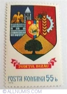 55 Bani - Buzău county