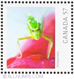 Image #1 of 57¢ 2010 - Tettigoniidae