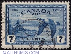 Image #1 of 7¢ Canada Geese Near Sudbury 1946