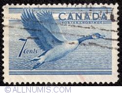 Image #1 of 7¢ Canada Goose, Branta canadensis 1952