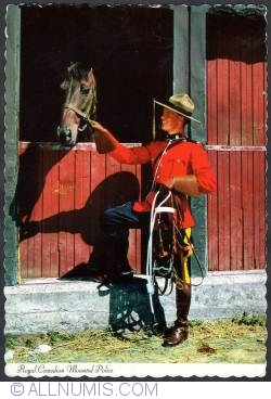 A RCMP Officer with his horse