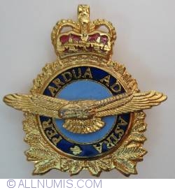 Canadian Air Force-collar left
