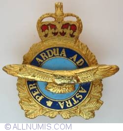 Canadian Air Force-collar right