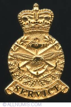 Canadian Forces Reserve Service pin-gold