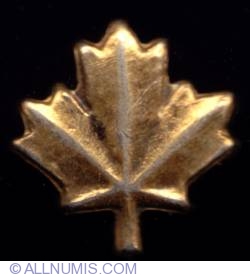 Canadian Maple Leaf type 3
