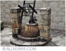 Image #1 of Cat over a water well