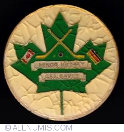 Canadian Forces europe (CFE) Baden minor hockey
