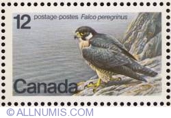 Image #1 of 12¢ Peregrine Falcon, Falco peregrinus 1978