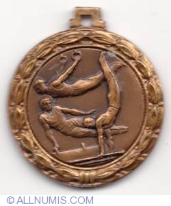 Gymnastic bronze