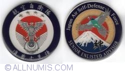 Japan Air Self-Defense Force Senior Enlisted Advisor 2013