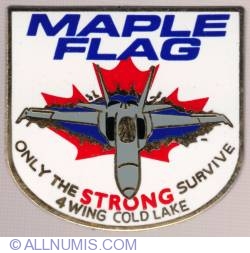 Maple Flag 4 Wing Cold Lake 2009