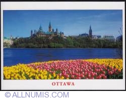 Parliament Hill-rear view-spring time