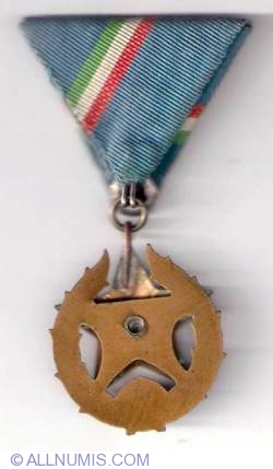 Public Security Medal - bronze