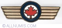 RCAF Honorary Colonel pin 2012