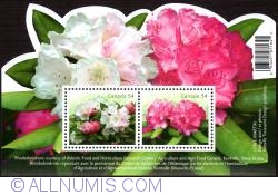 Image #1 of Rhododendrons souvenir sheet 2009