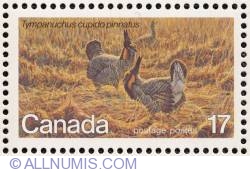 Image #1 of 17¢ Greater Prairie Chicken, Tympanuchus cupido pinnatus 1980