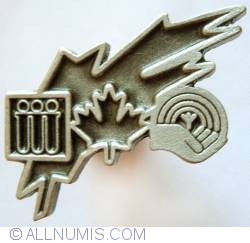 United Way Canada (silver color)