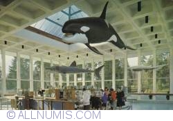 Image #1 of Vancouver - Stanley Park-Public Aquarium 1968