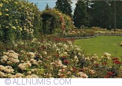 Image #1 of Vancouver - Stanley Park-Rose garden 1968